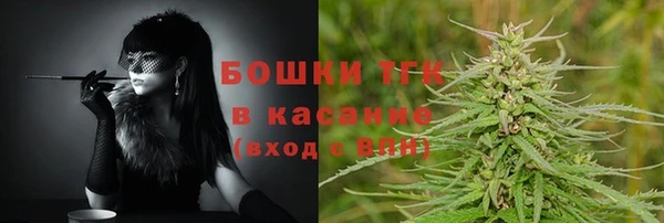 спайс Касимов