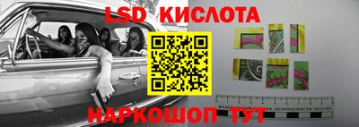 спиды Кингисепп