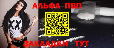 спиды Кингисепп