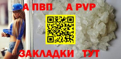 спиды Кингисепп