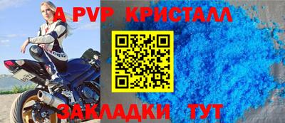 спиды Кингисепп