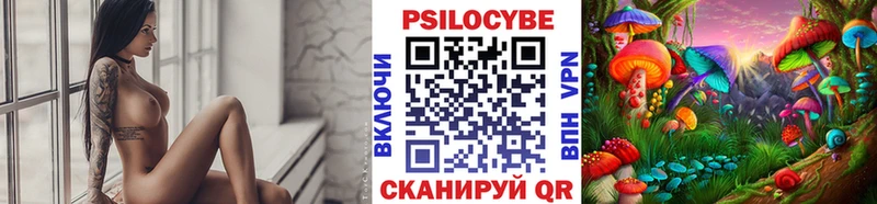 blacksprut онион Первоуральск Псилоцибиновые грибы Cubensis