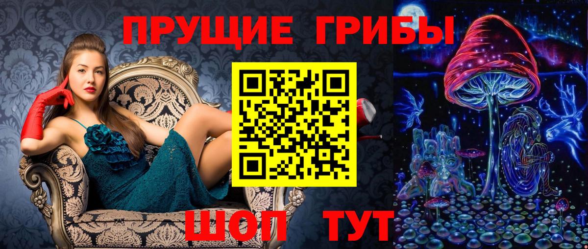 Первоуральск  Галлюциногенные грибы Psilocybine cubensis  Вход с VPN 